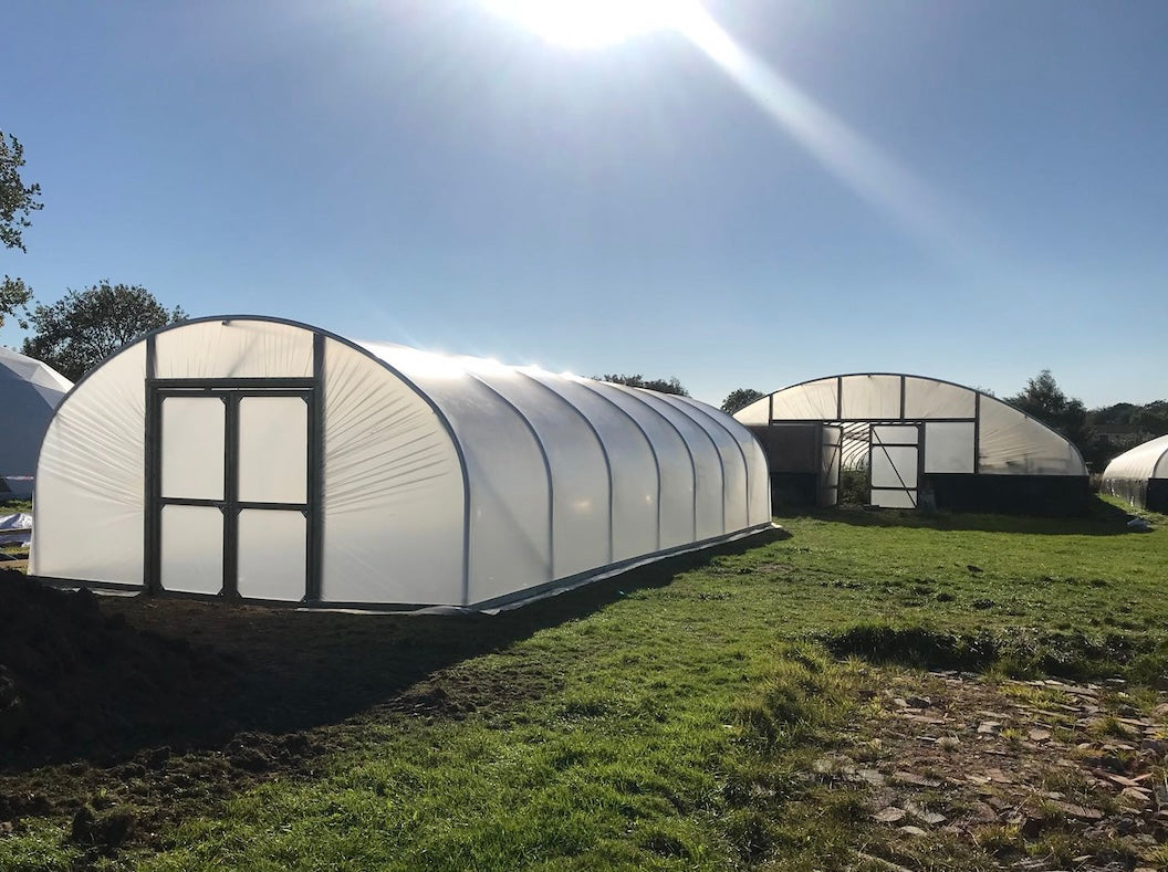 Can You Get Sunburnt Working in a Polytunnel?