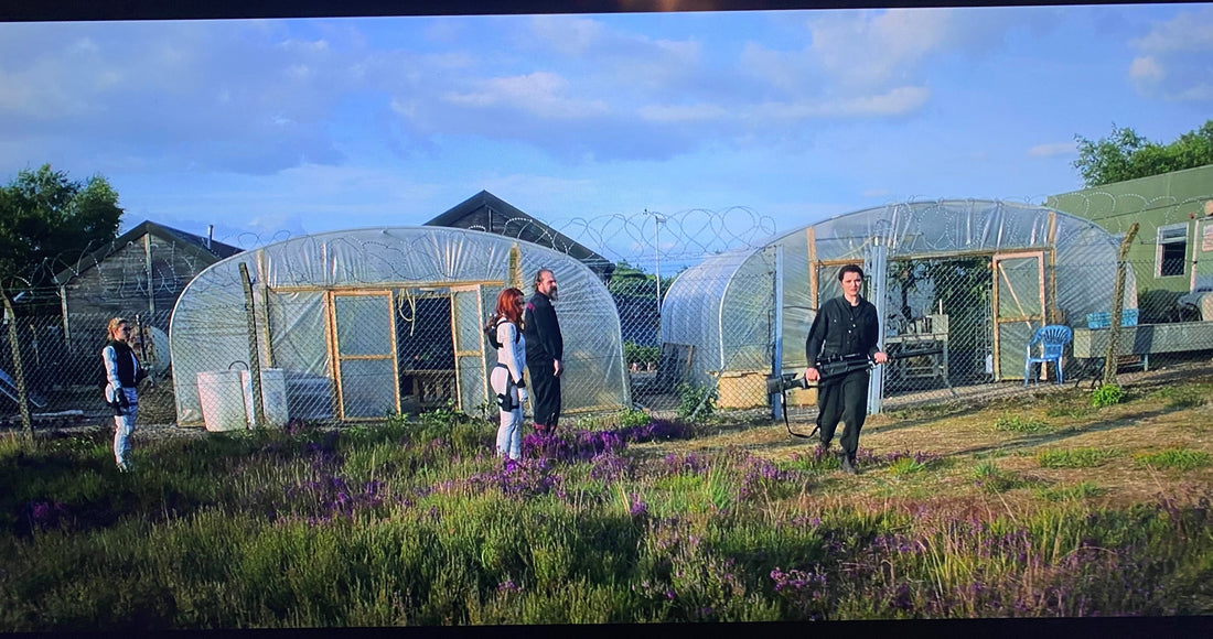 Our Polytunnels Are MARVEL-ous!