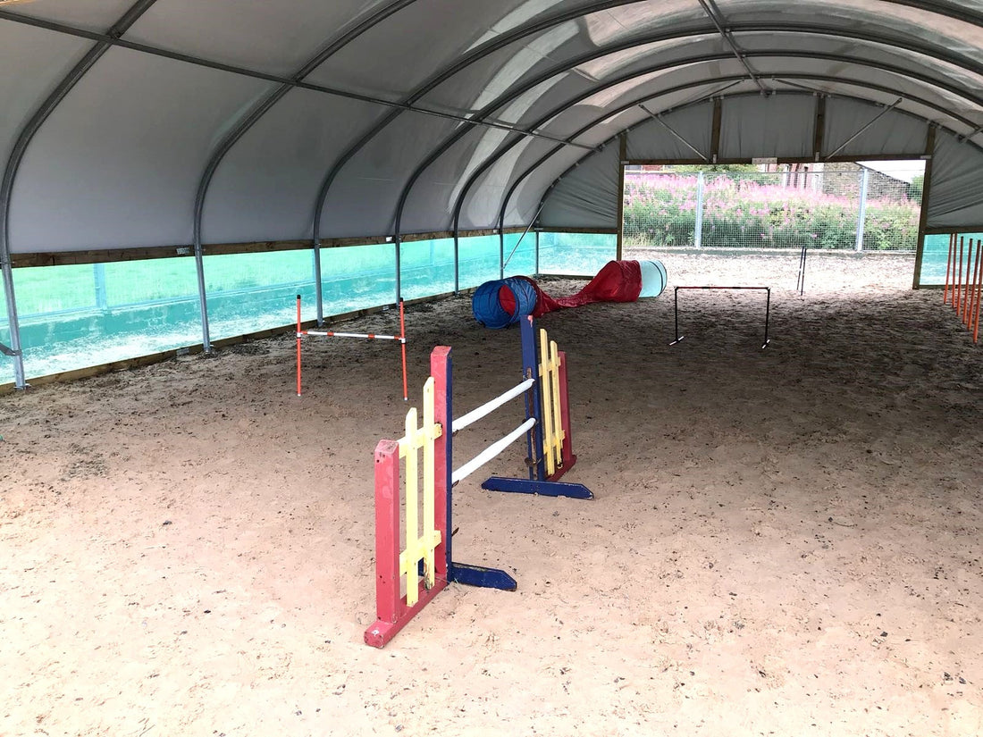 Dog Training In A Polytunnel