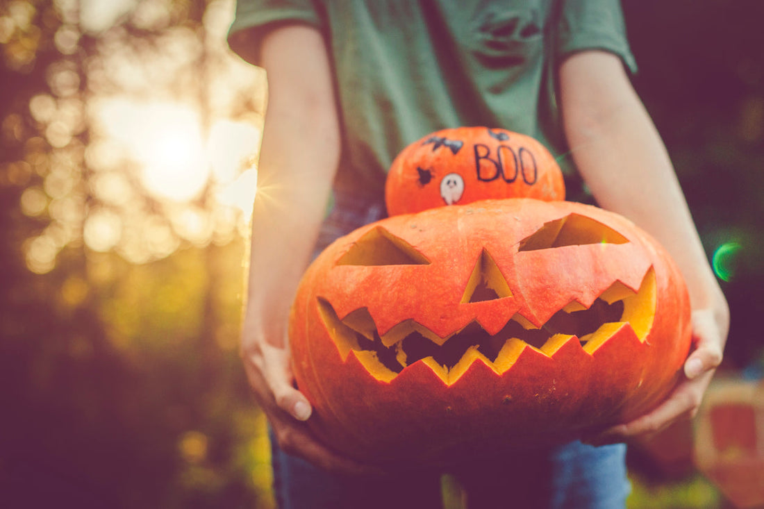 Grow Your Own Pumpkins For Halloween