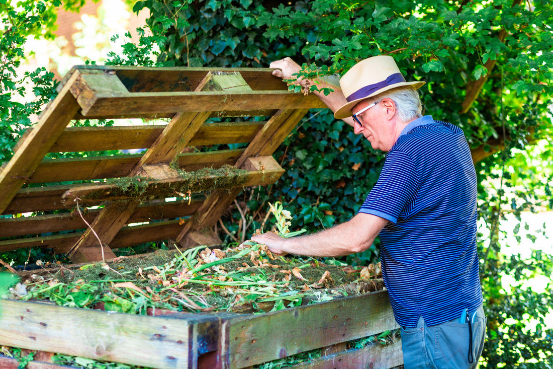 How To Build Healthy Soil In Your Garden & Allotment