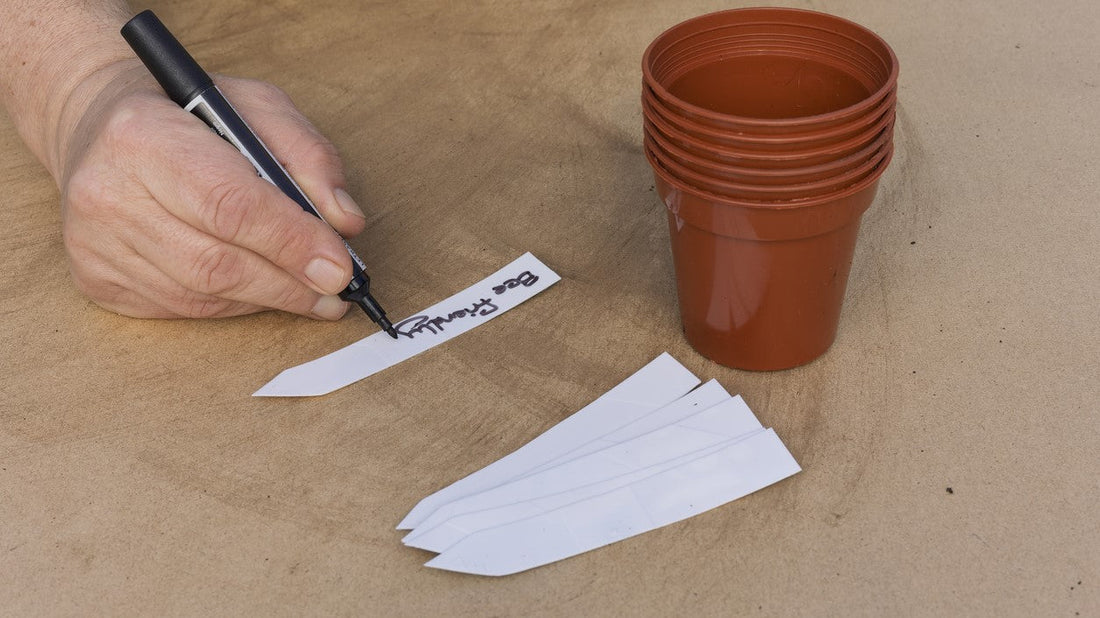 November Growing Guide