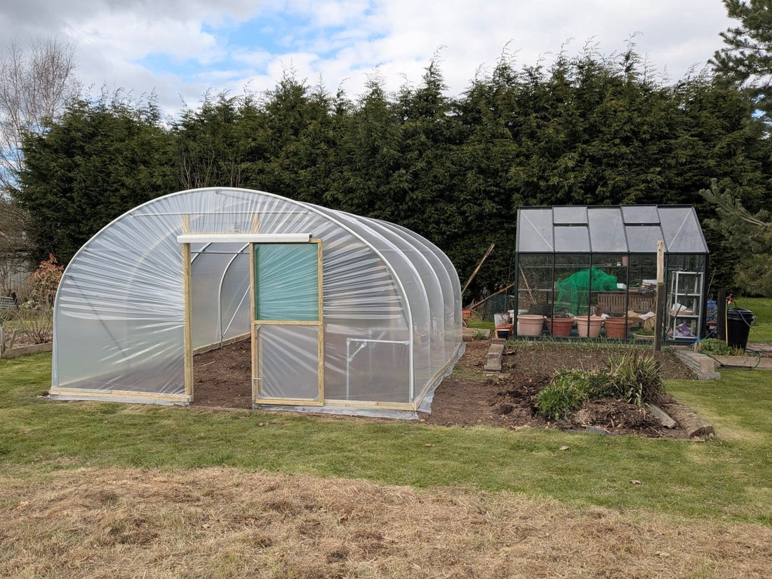 Polytunnel or Greenhouse?