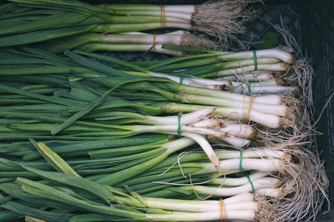 Spring Onion Growing Guide