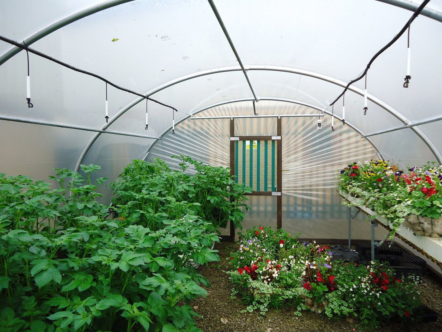 Overhead Irrigation Kits | For Garden Polytunnels