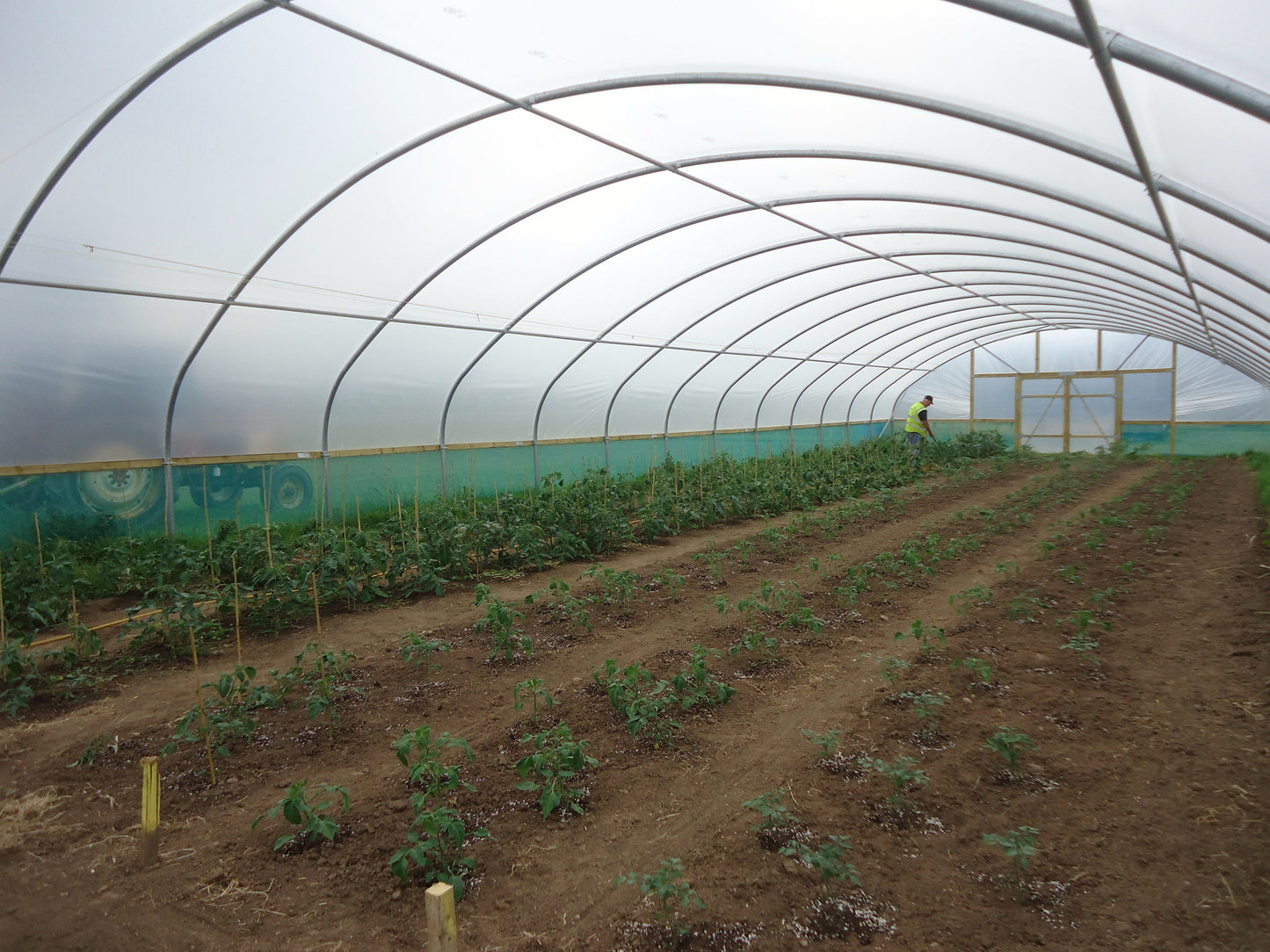 30ft (9.15m) Wide | Polytunnel