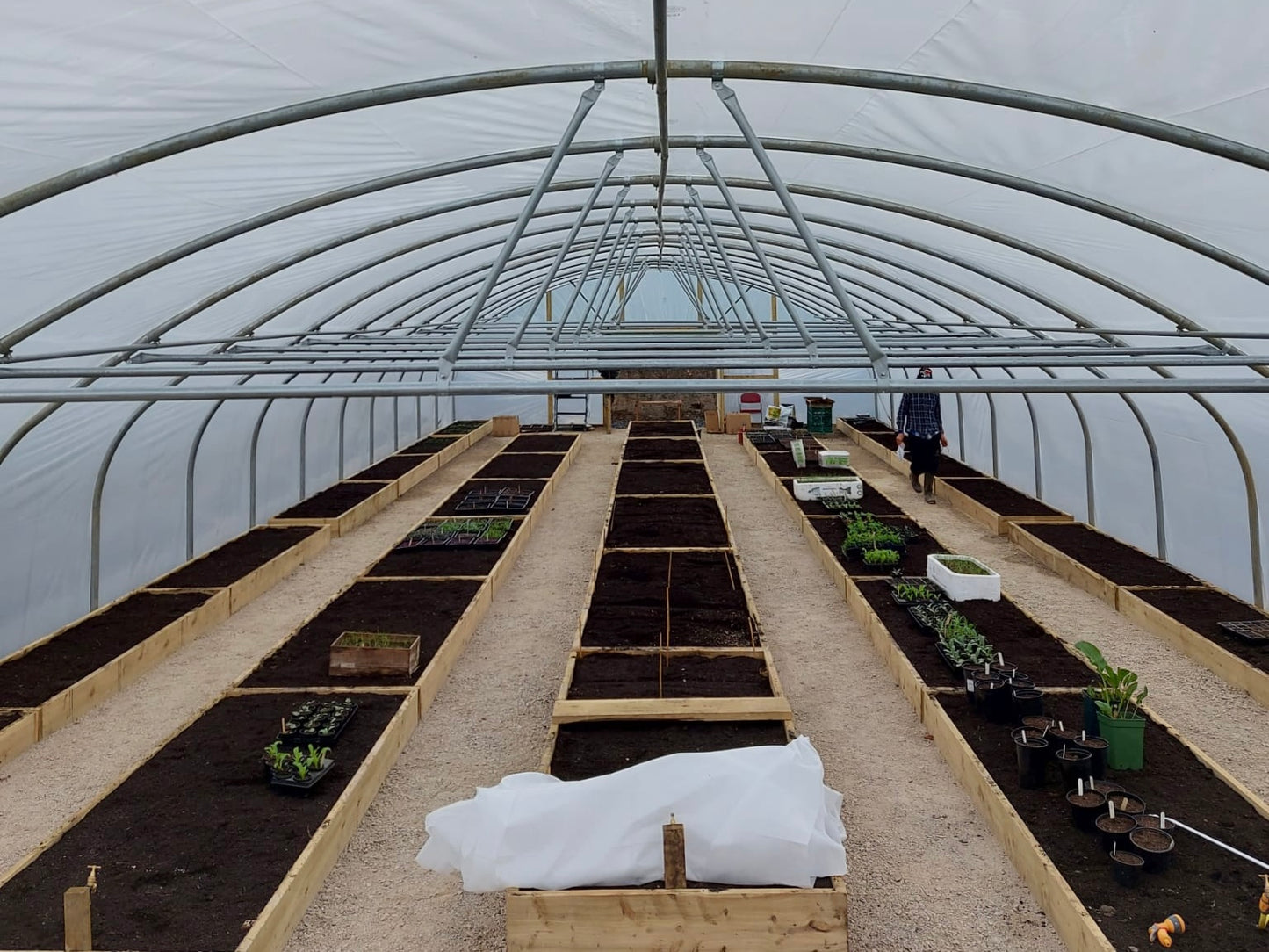 Crop Bars for Commercial Polytunnels
