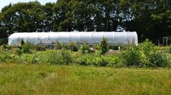 Polytunnel at Veterans charity