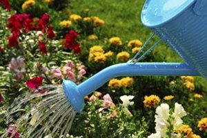 How to save waste water for the garden