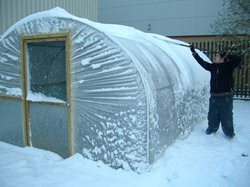 Polytunnel in Snow