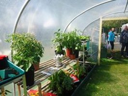 Allotment Polytunnel