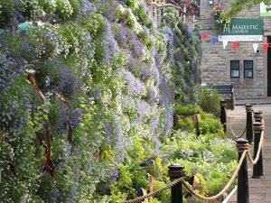 Floral Sea Wall