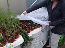 Getting Your Polytunnel Ready for Winter