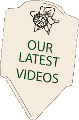 Check out our new YouTube Channel