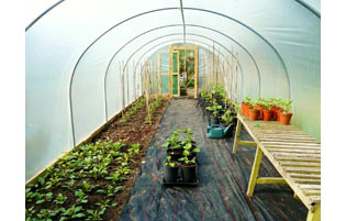 Award Winning Polytunnels