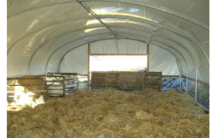 Sheep Polytunnels