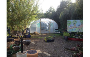 School Polytunnel