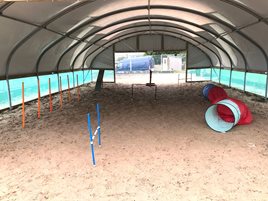 Dog Training Polytunnel