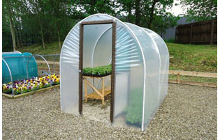 Polytunnel Growing Ideas