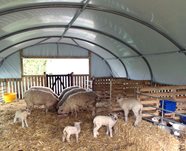 18ft (5.49m) Wide Sheep House