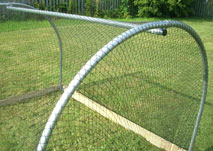 4ft x 6ft Anti Bird Net Cloche