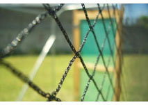 2m x 2.4m Fruit & Veg Cage