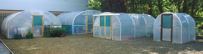 Polytunnel Display Area