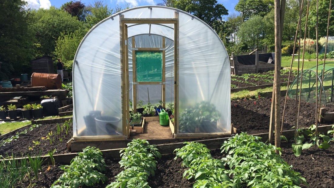 Allotment Sizes & Growing Structures for Every Plot