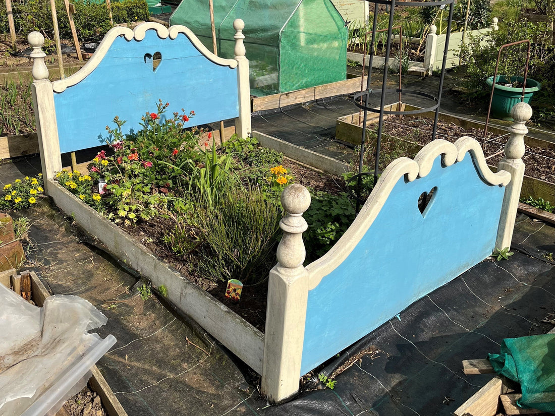 Budget Friendly Allotment Hacks