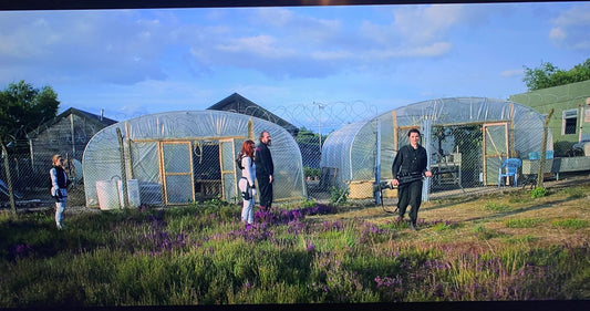 Our Polytunnels Are MARVEL-ous!