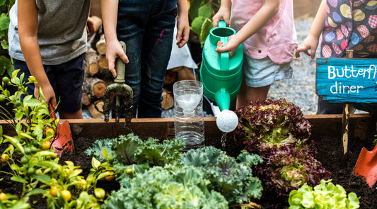 Why Gardening Still Belongs in Schools