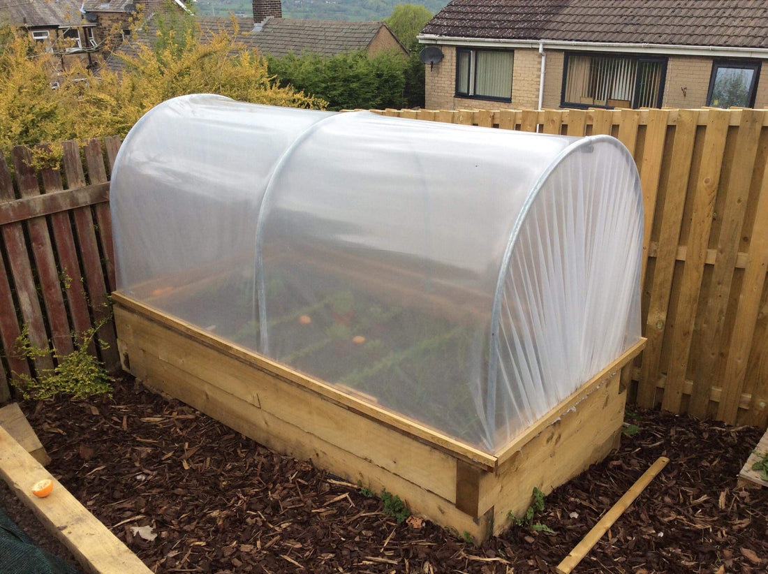 How To Protect Your Plants In Winter