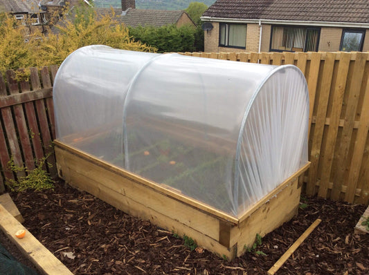 How To Protect Your Plants In Winter