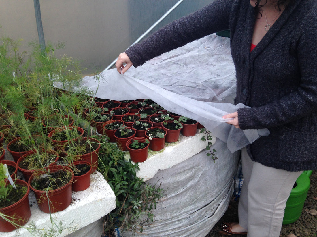 How To Heat A Polytunnel In Winter
