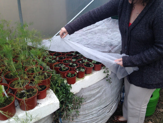 How To Heat A Polytunnel In Winter