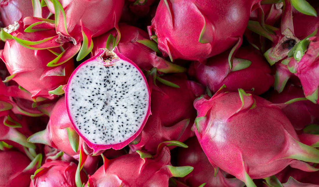 Dragon Fruit Growing Guide