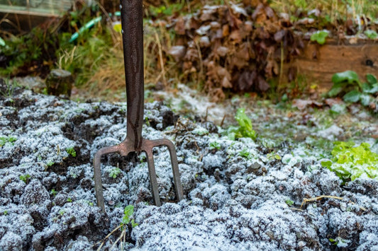 February Growing Guide