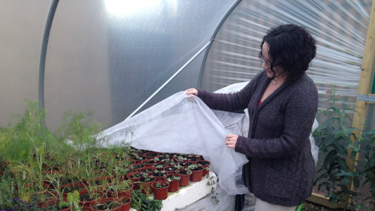 October Growing Guide