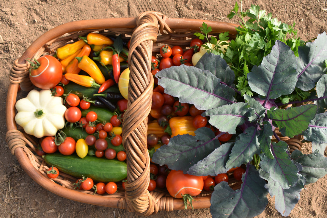 Self Sufficient Living Tips & Advice