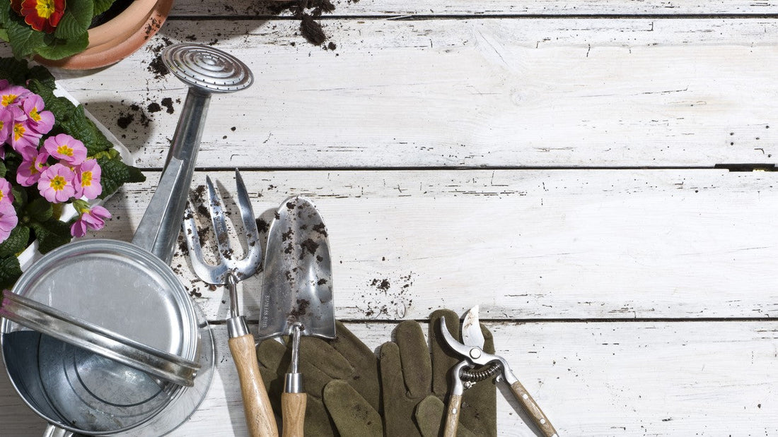 Garden Tools For Polytunnel Gardeners