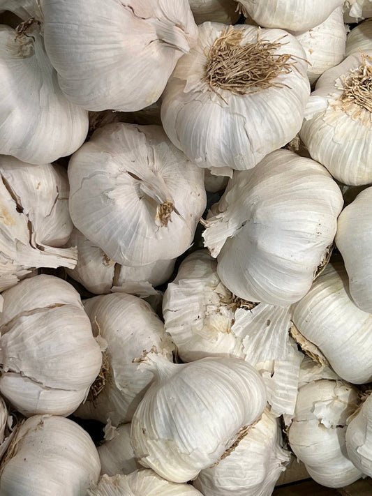 Garlic Growing Guide