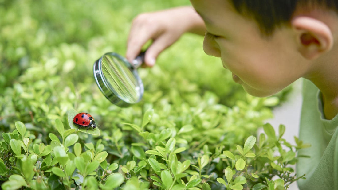 How to Help Grow Young Minds This Summer with a Polytunnel