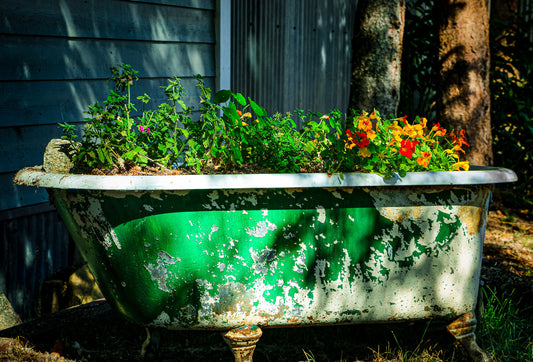 How To Improve & Transform A Garden On A Budget