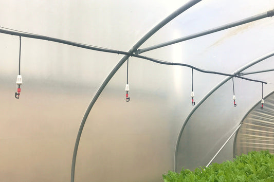 Efficient Ways To Water Your Polytunnel