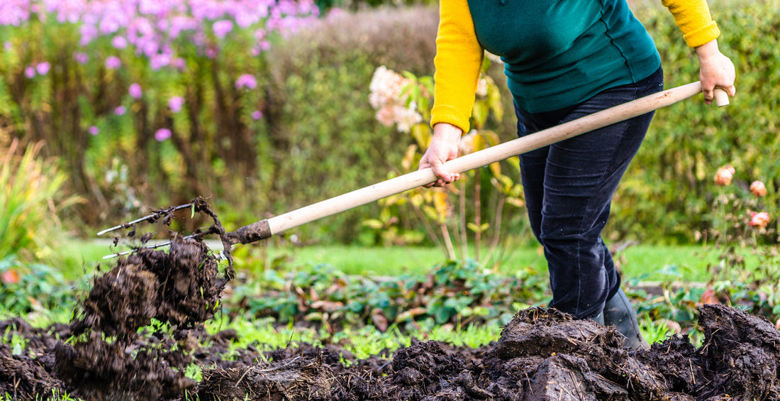 No Dig Gardening Guide