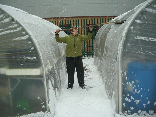 December Growing Guide