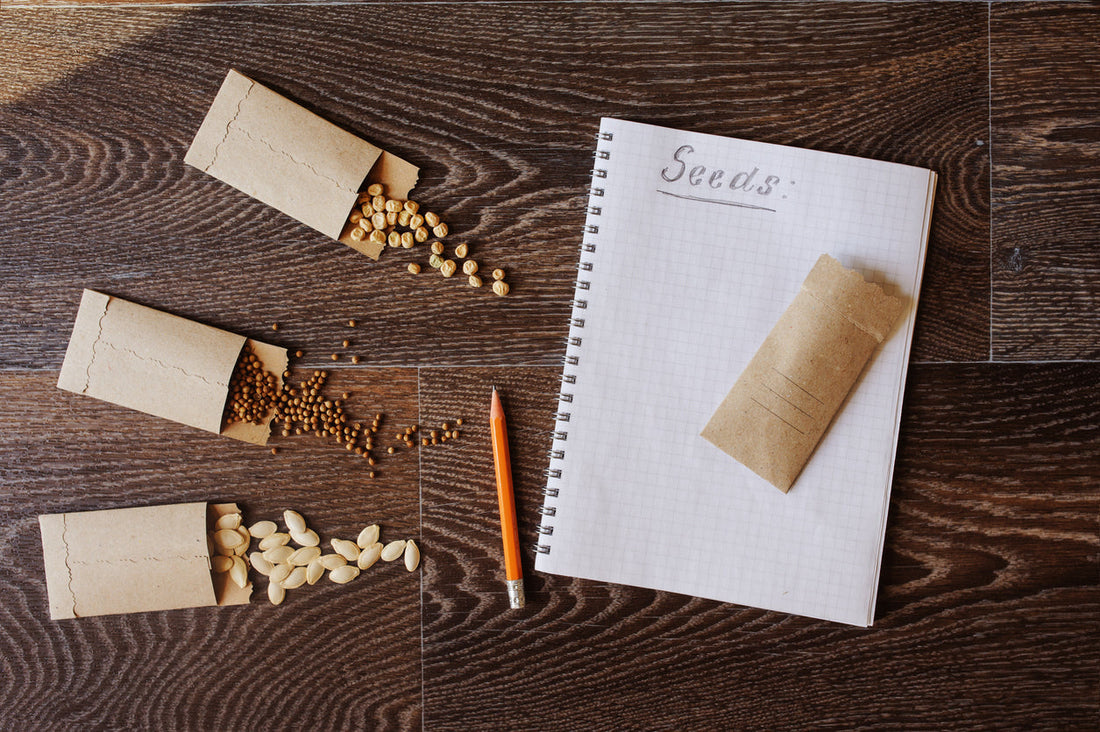 How To Save Seeds From Homegrown Crops