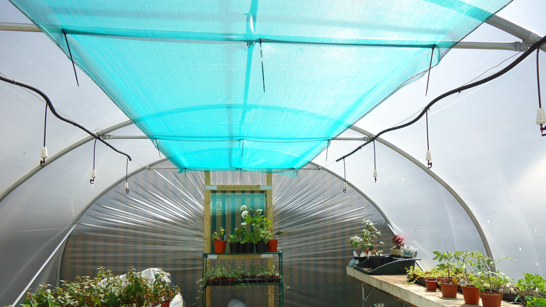 How Hot Is Too Hot For Plants In A Polytunnel