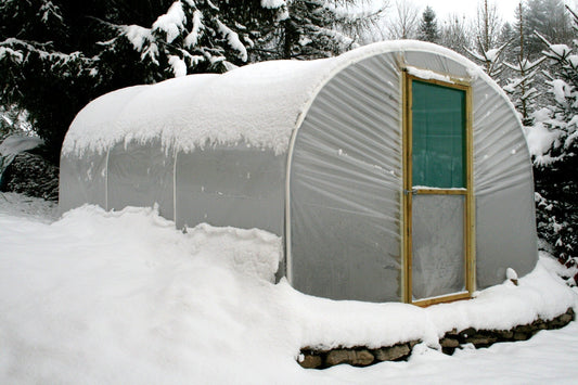 January Growing Guide