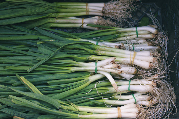 Spring Onions Growing Guide: How to Grow & Harvest | Premier Polytunnels